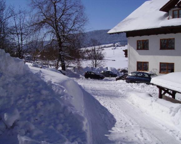 Bauernhof Kasleitner Villa Zell am Moos Exterior photo