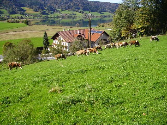 Bauernhof Kasleitner Villa Zell am Moos Exterior photo